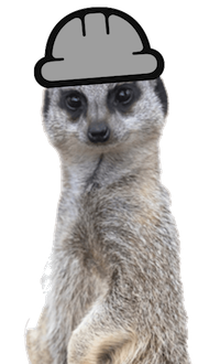 /img/meerkat_project.png