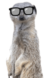 /img/meerkat_person.png